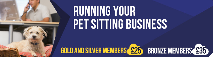 Start a Pet Sitting Business & Dog Walking Business NarpsUK