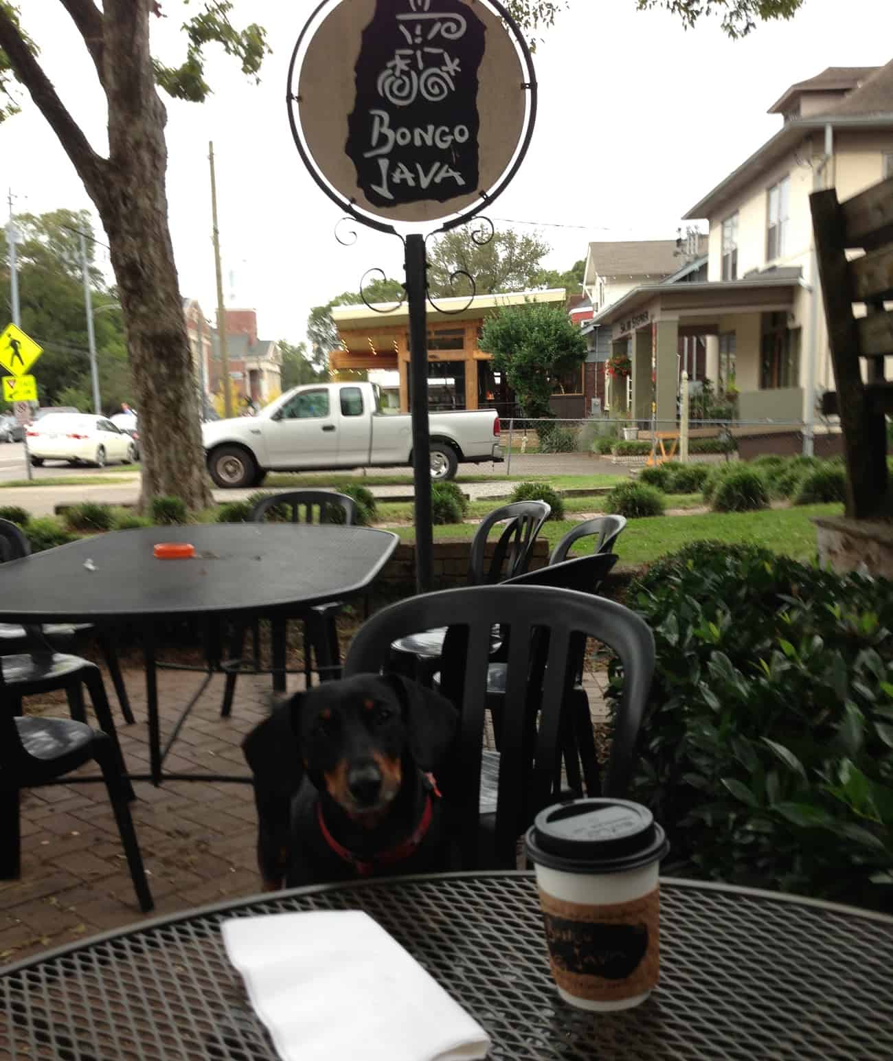 Maxing Out Nashville Bongo Java BelmontHillsboro Village