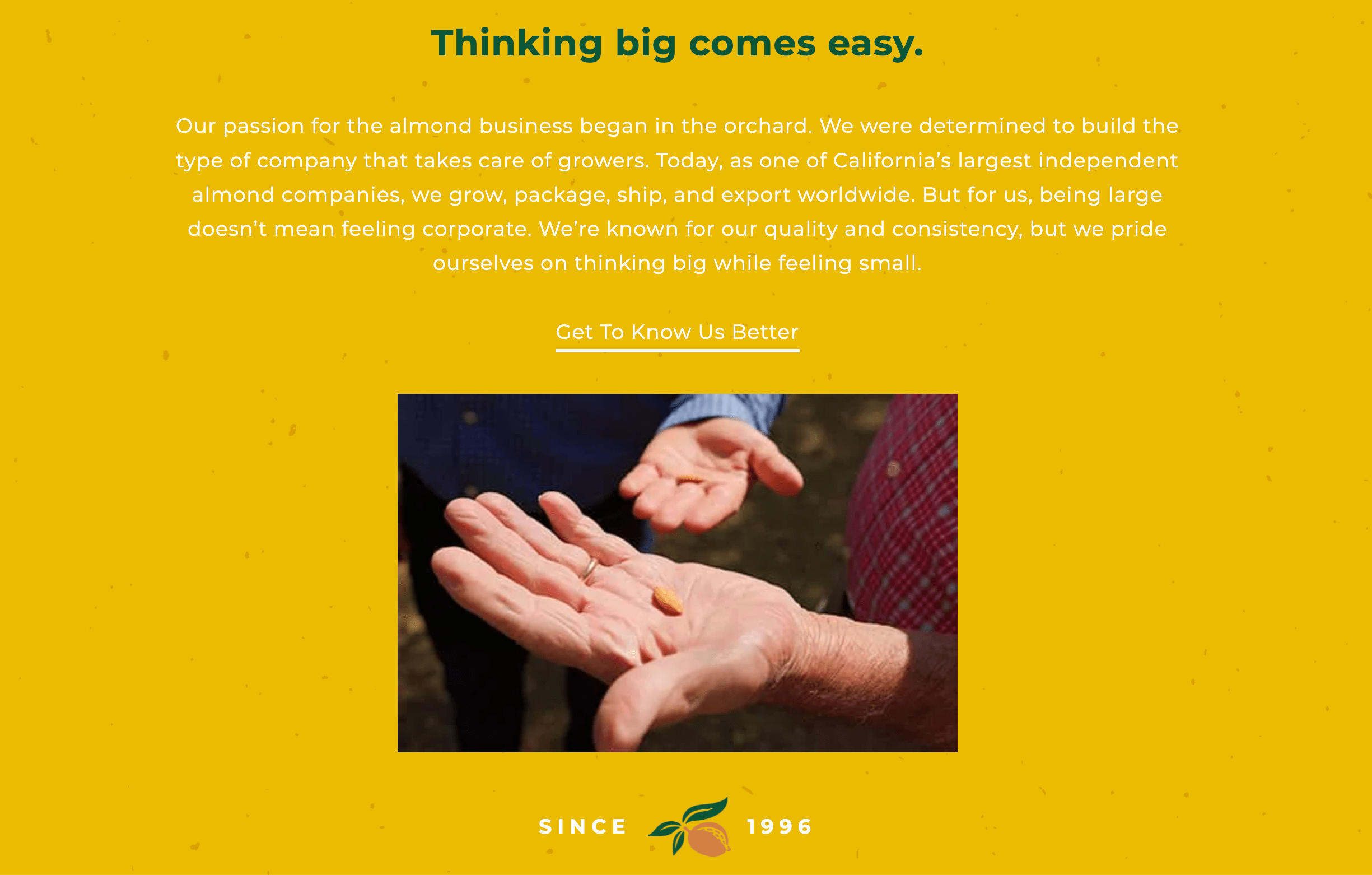 Minturn Nut Company NASH WRITES