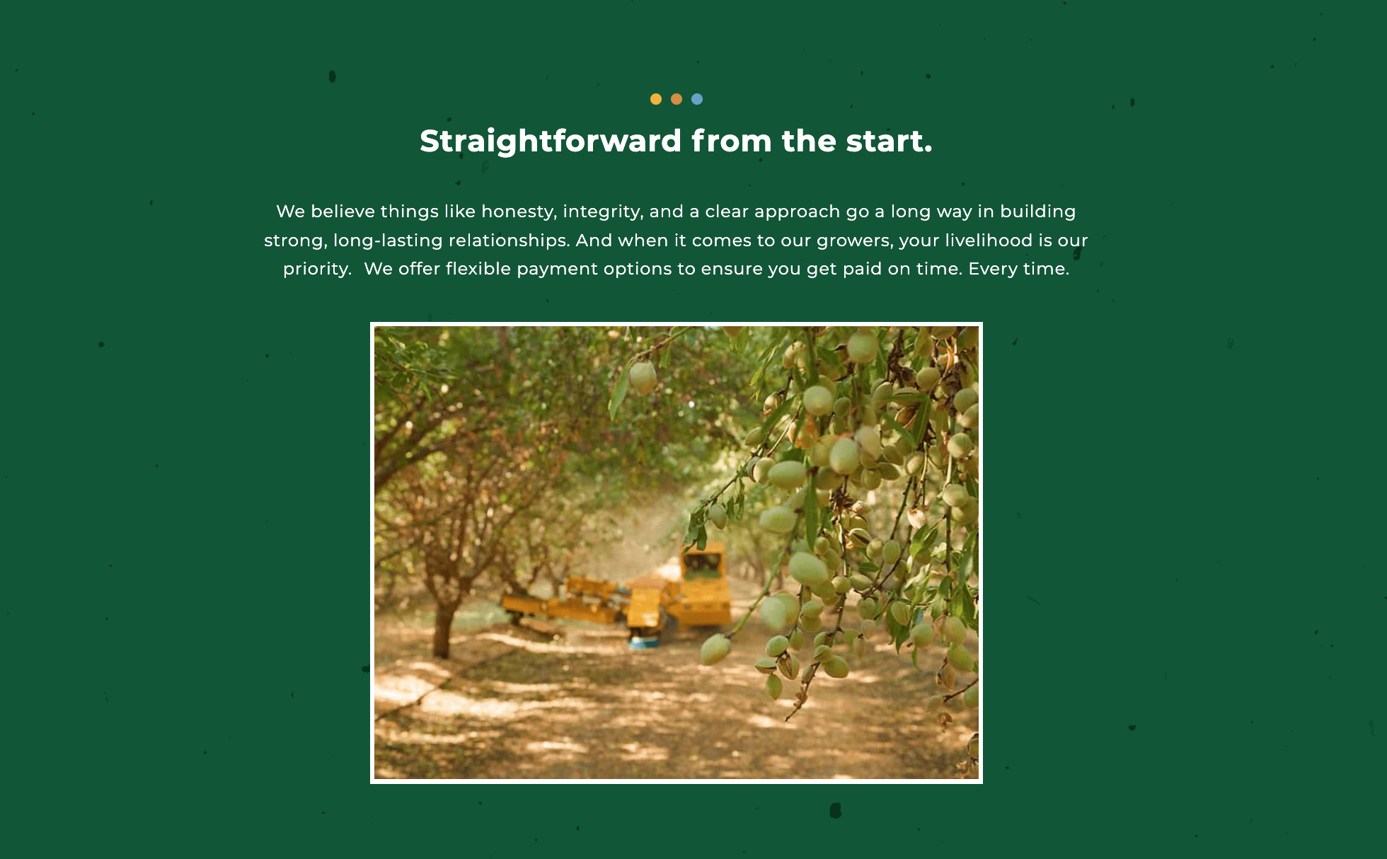 Minturn Nut Company NASH WRITES