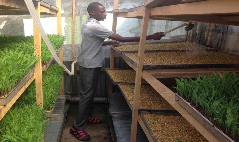 Hydroponic Nasrun Nigeria Limited