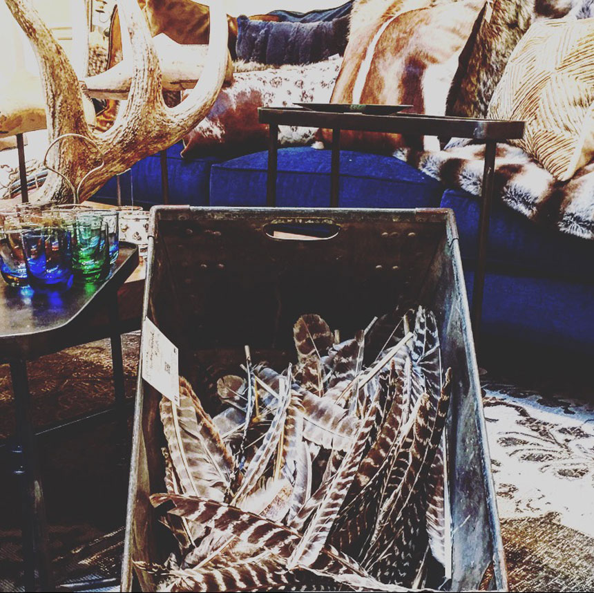 Meet Bonny Neiman of Great House Natalie Farrell