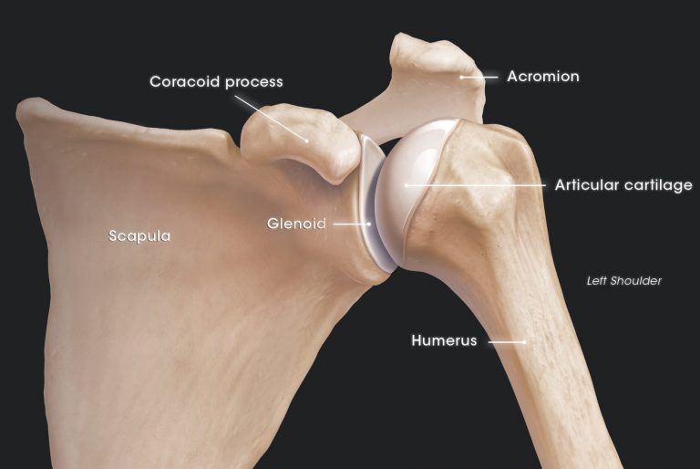 HUB Shoulder Nathan Faulkner, MD Denver, CO