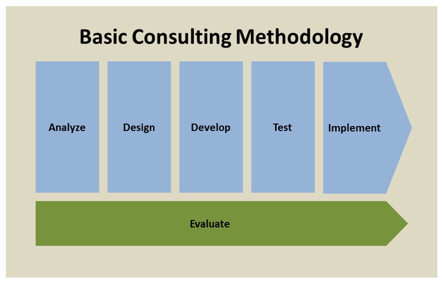 So… What Do Consultants Actually Do? Nathan Magnuson