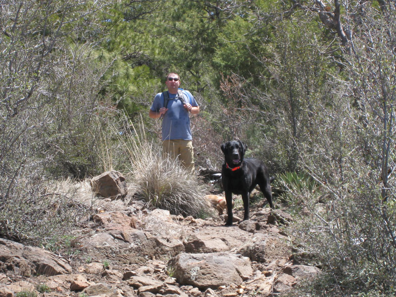 Woodchute Trail Hiking Arizona Jerome, AZ