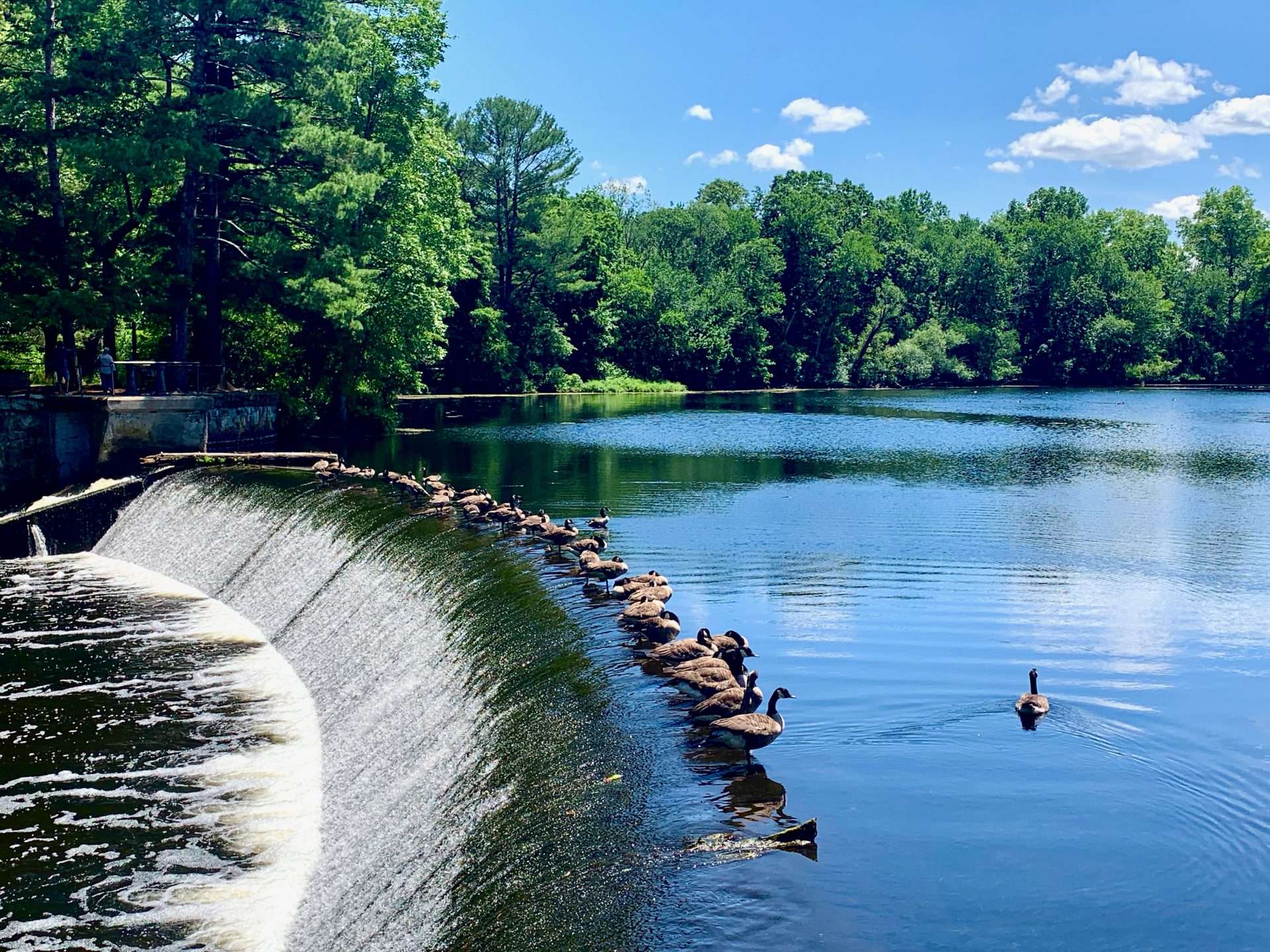 South Natick dam defenders rise up before key vote; engineering