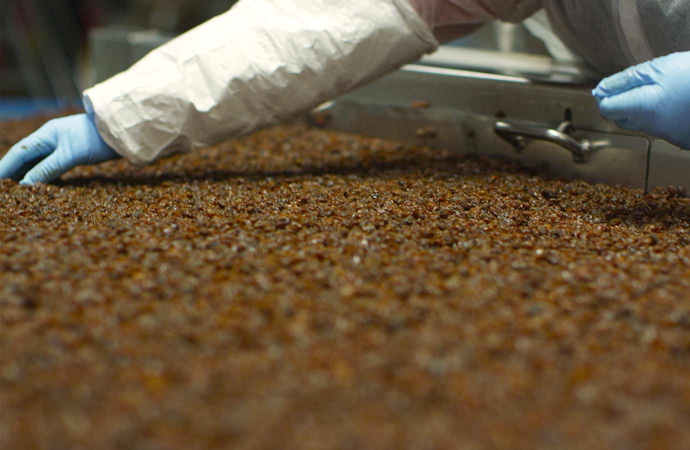 Our Process National Raisin Company