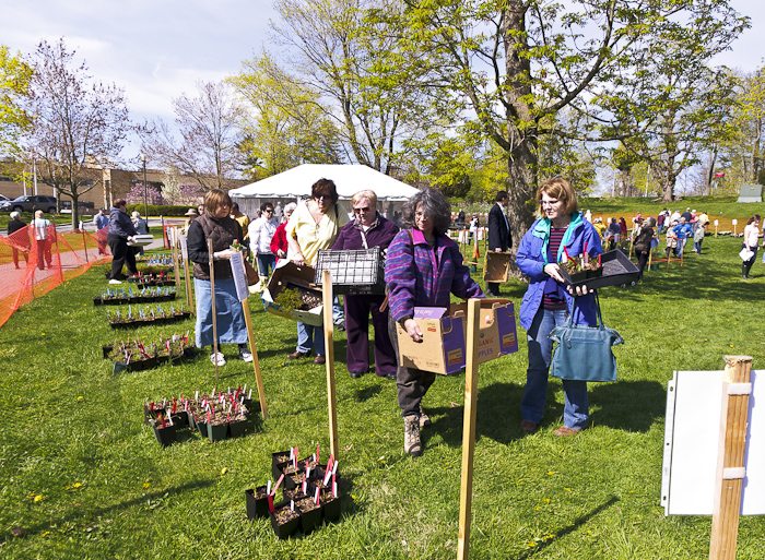 Native Plants for Sale!