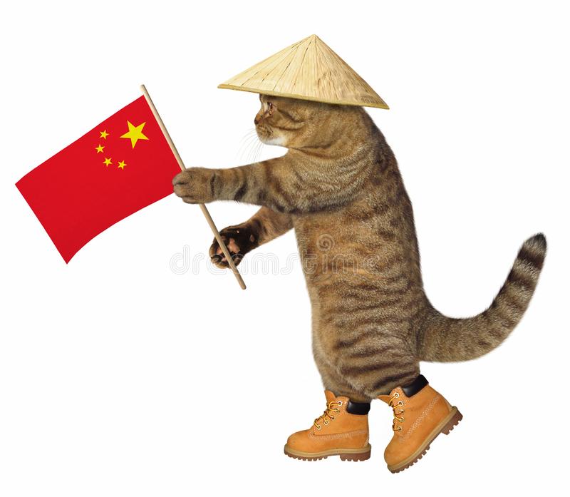 Cat breeds originating in China Native