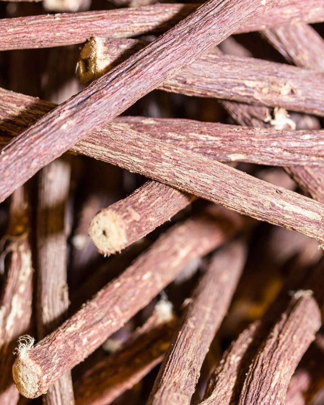 Licorice Cellular Extract NATIVE EXTRACTS