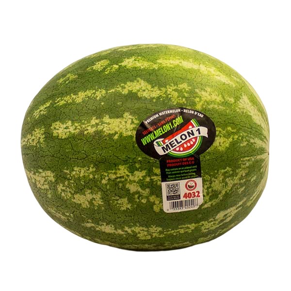 Melon Watermelon Seedless MW