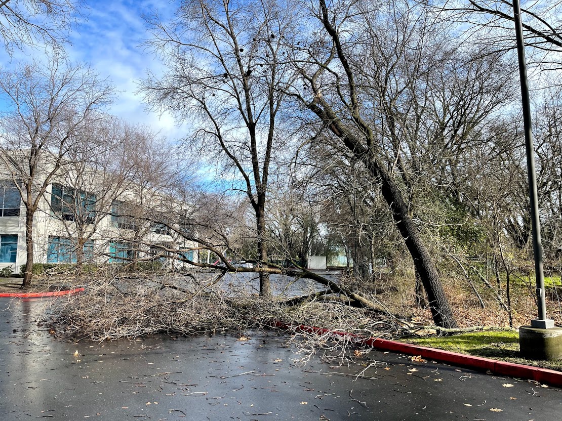 Power Still Out for Dozens in Natomas The Natomas Buzz