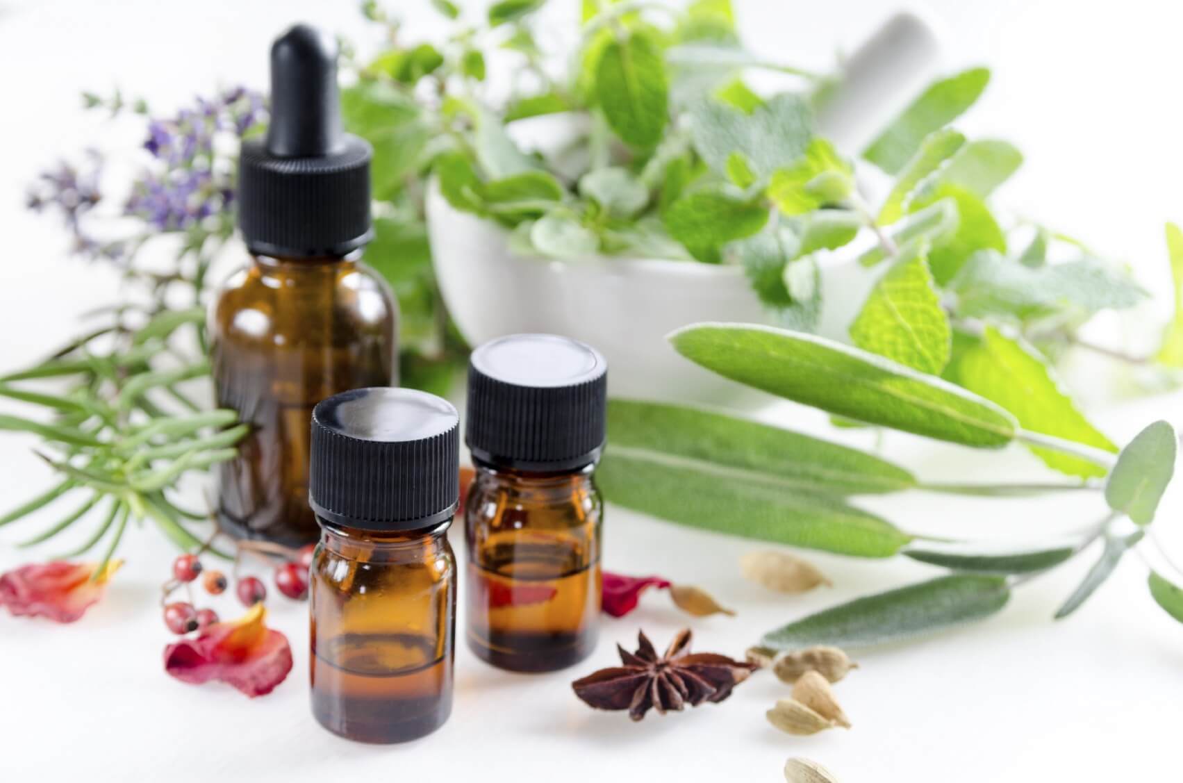 Learn About Essential Oils and Herbs How Works in Everyday Natural