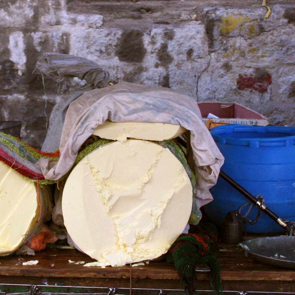Health benefits of yak milk Tibetan survival food keeps