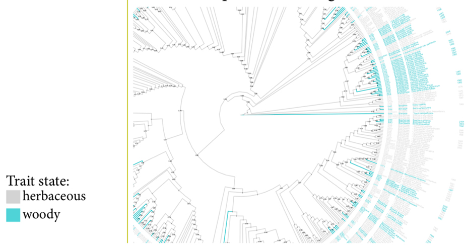 Modeling environmental variables to understand rampant evolutionary