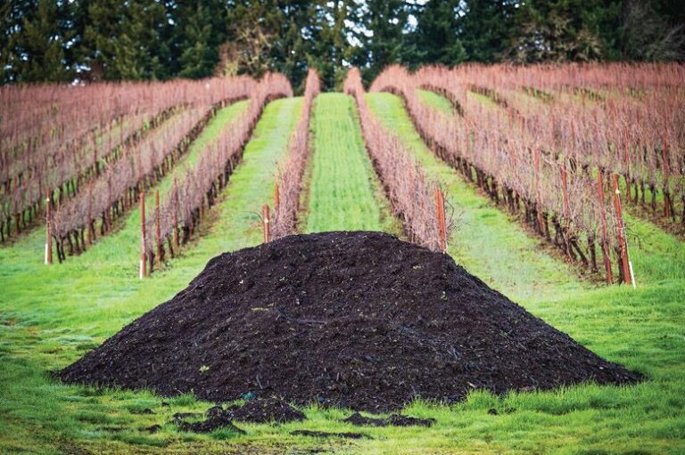 Compost, Manure, and the In-between - Certified Naturally Grown