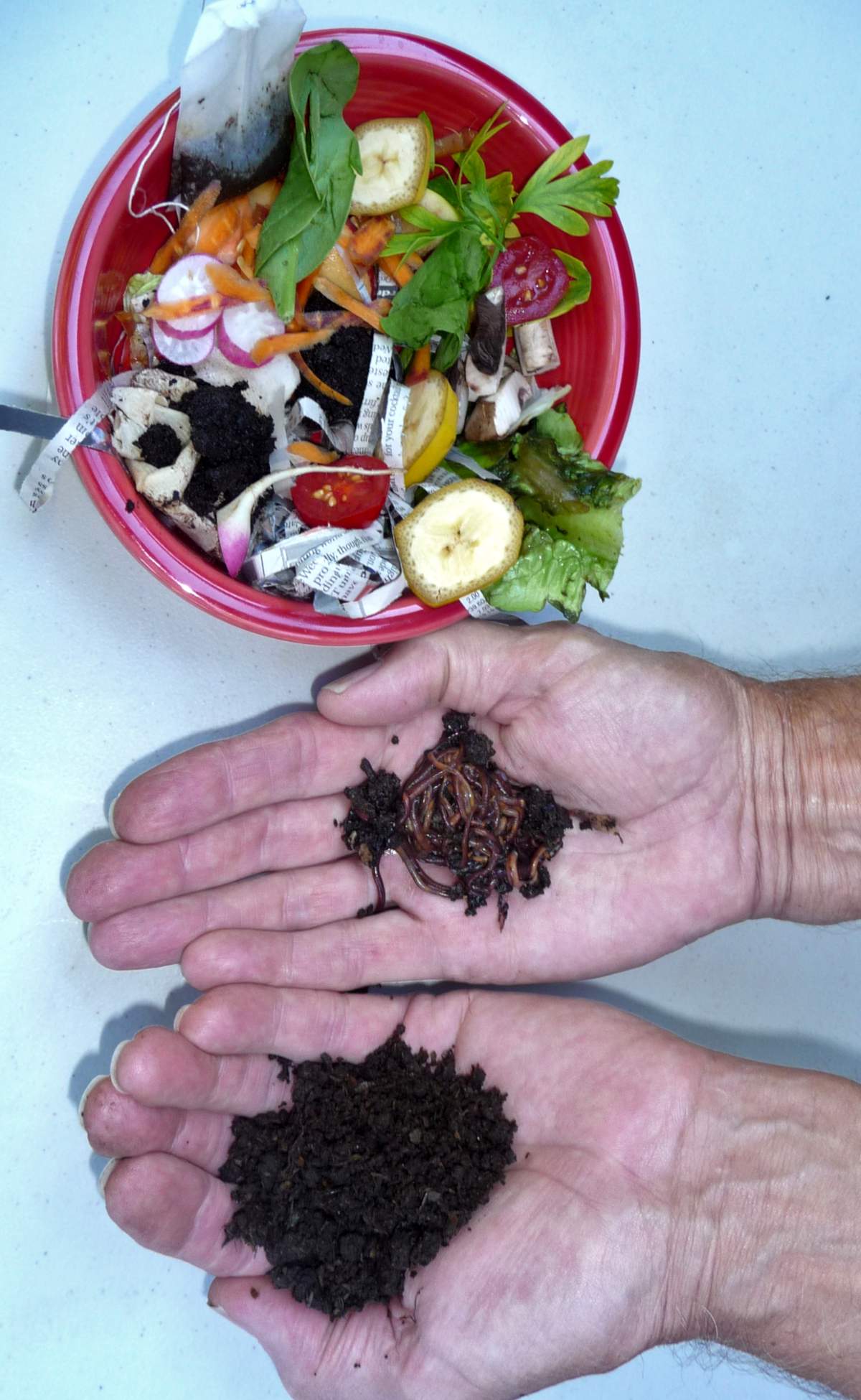 Apartment composter how to compost waste and food scraps