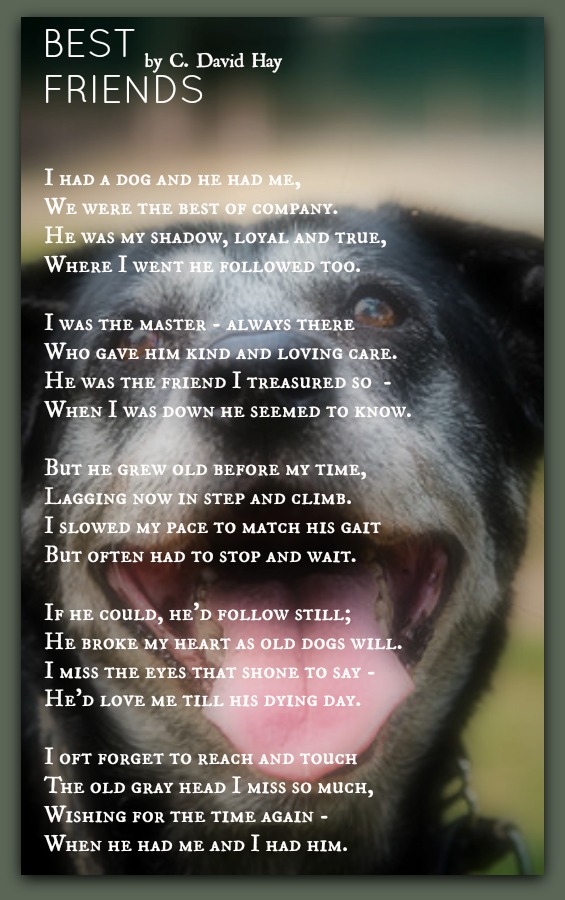 Best FriendsC. David Hay Pet Poems
