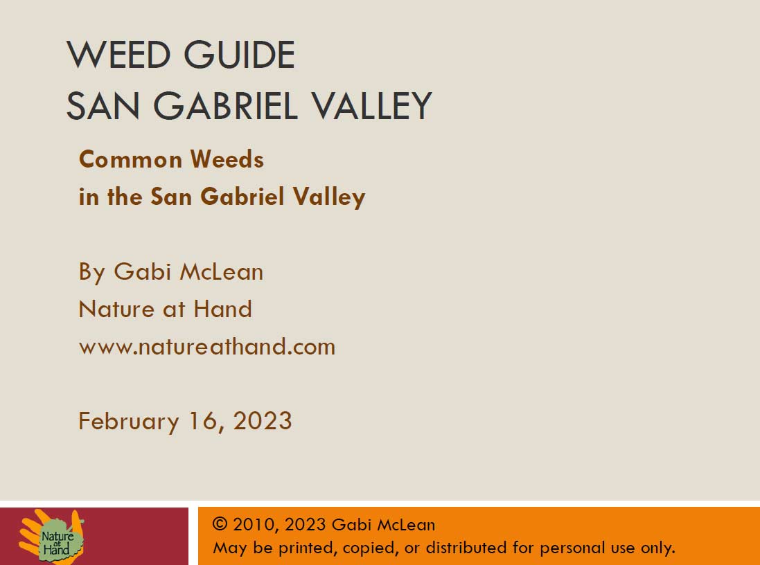 Weed Identification Guide for the San Gabriel Valley