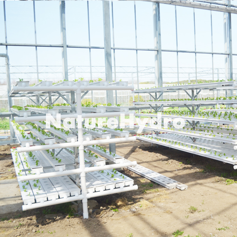 Hydroponic NFT channel system for greenhouse Shanghai