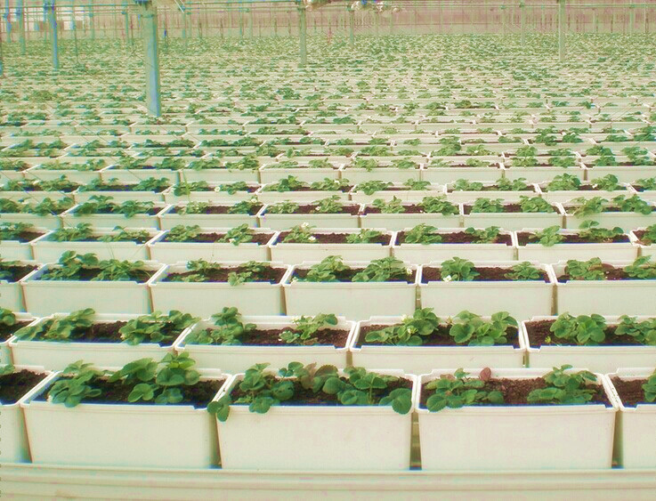 Bato Buckets Wholesale Shanghai Dehuan Industry Co. , Ltd