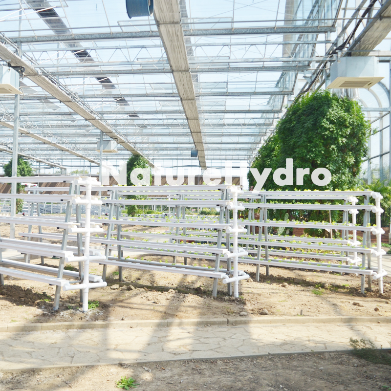 Hydroponic NFT channel system for greenhouse Shanghai