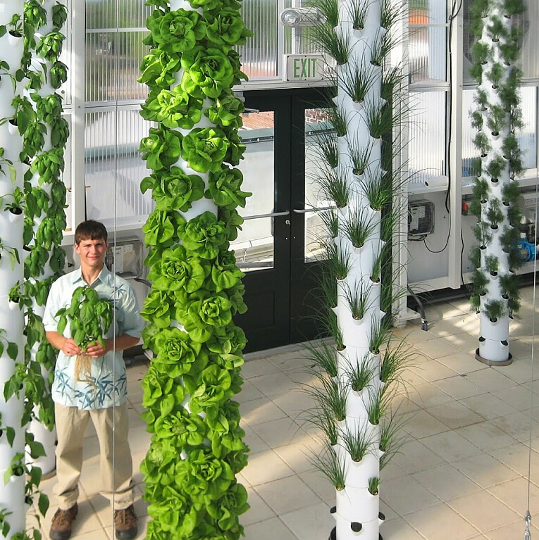 Hanging Aeroponic Tower Garden System Shanghai Dehuan Industry Co. , Ltd