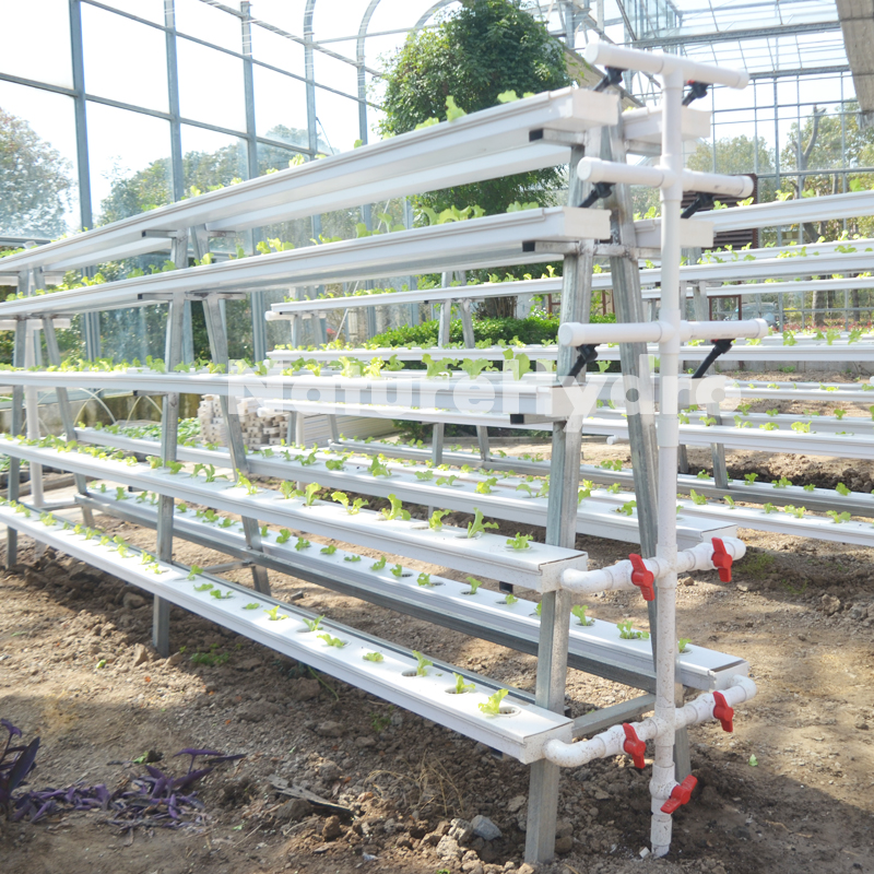 Hydroponic NFT channel system for greenhouse Shanghai