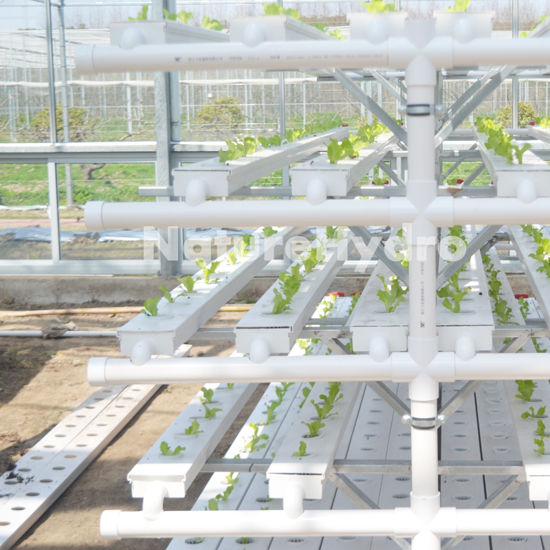 Hydroponic NFT channel system for greenhouse Shanghai