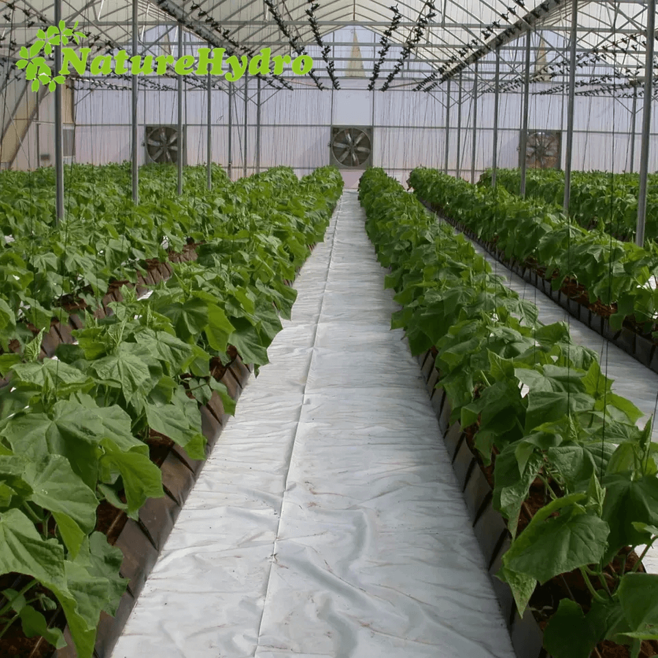 Hydroponic Pp Roll Grow Trough Shanghai Dehuan Industry Co. , Ltd