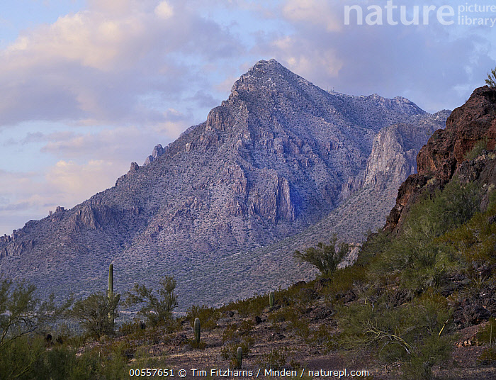 Stock photo of Picacho Mountains, Picacho Peak State Park, Arizona