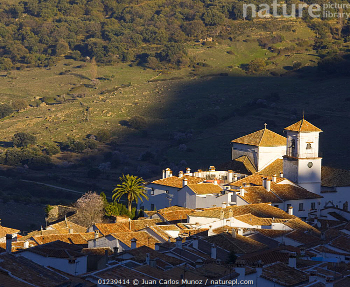 Stock photo of Looking down on rooftops of buildings in Grazalema