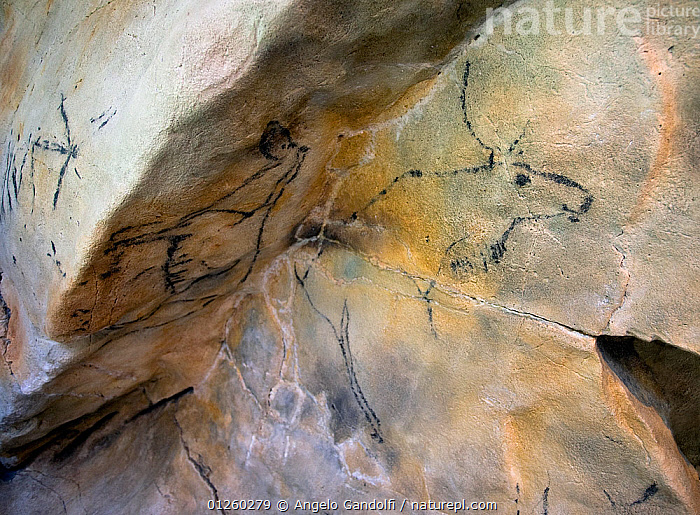 Stock photo of Museum reconstruction of 12,000 year old prehistoric