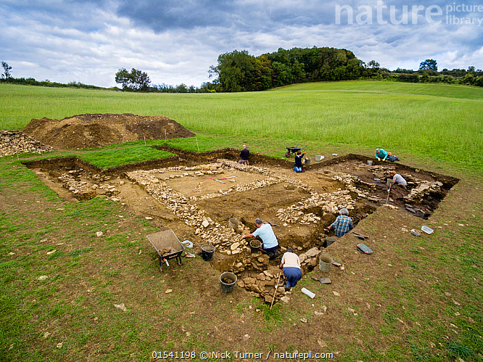 Nature Picture Library Archaeological dig, Hanging Hill Roman Villa