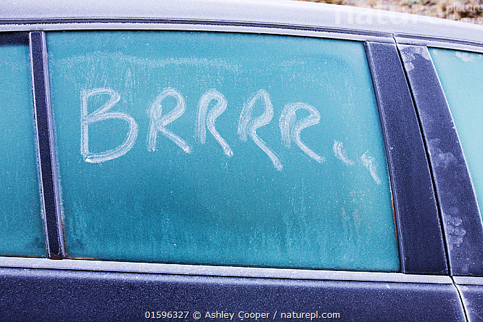 Nature Picture Library 'Brrrrrr' written on a car window in the frost