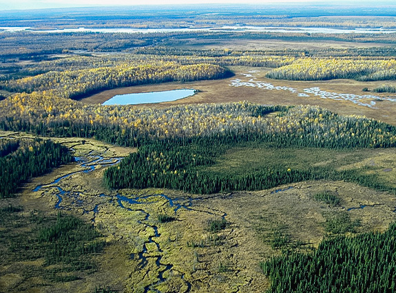 Access NatureServe Data | NatureServe