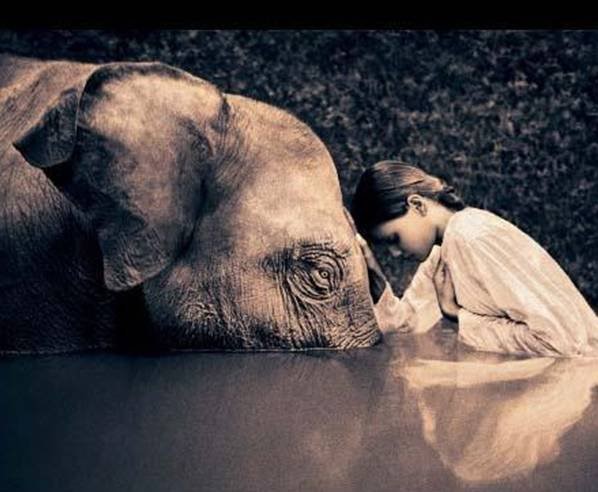 What is a Sentient Being? Nature's Heart