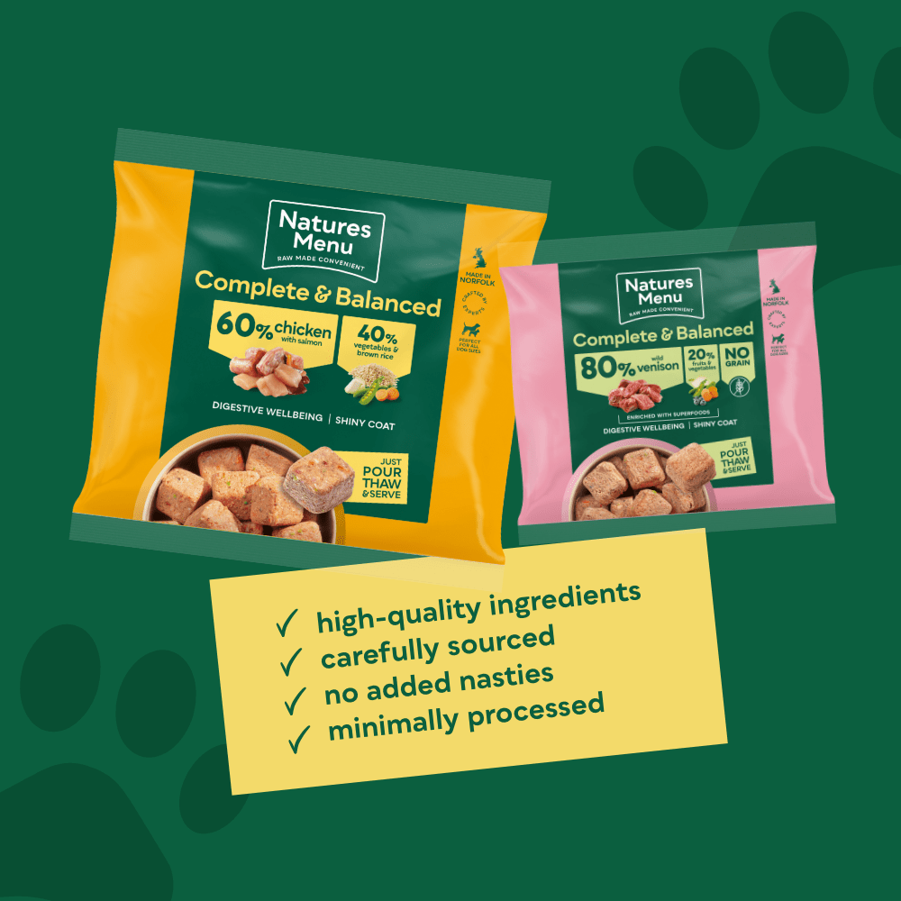 Learn reasons why your dog might not be eating raw food.