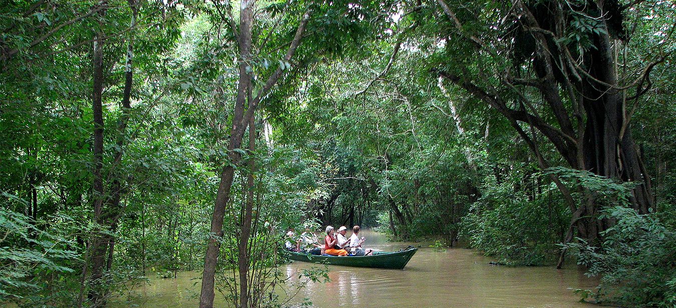 Amazon River Cruises & Rainforest Jungle Nature Tours
