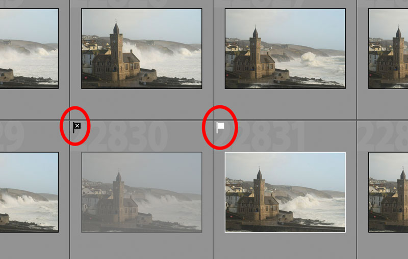 Flagging Photos in Lightroom for a Quick Workflow Nature TTL