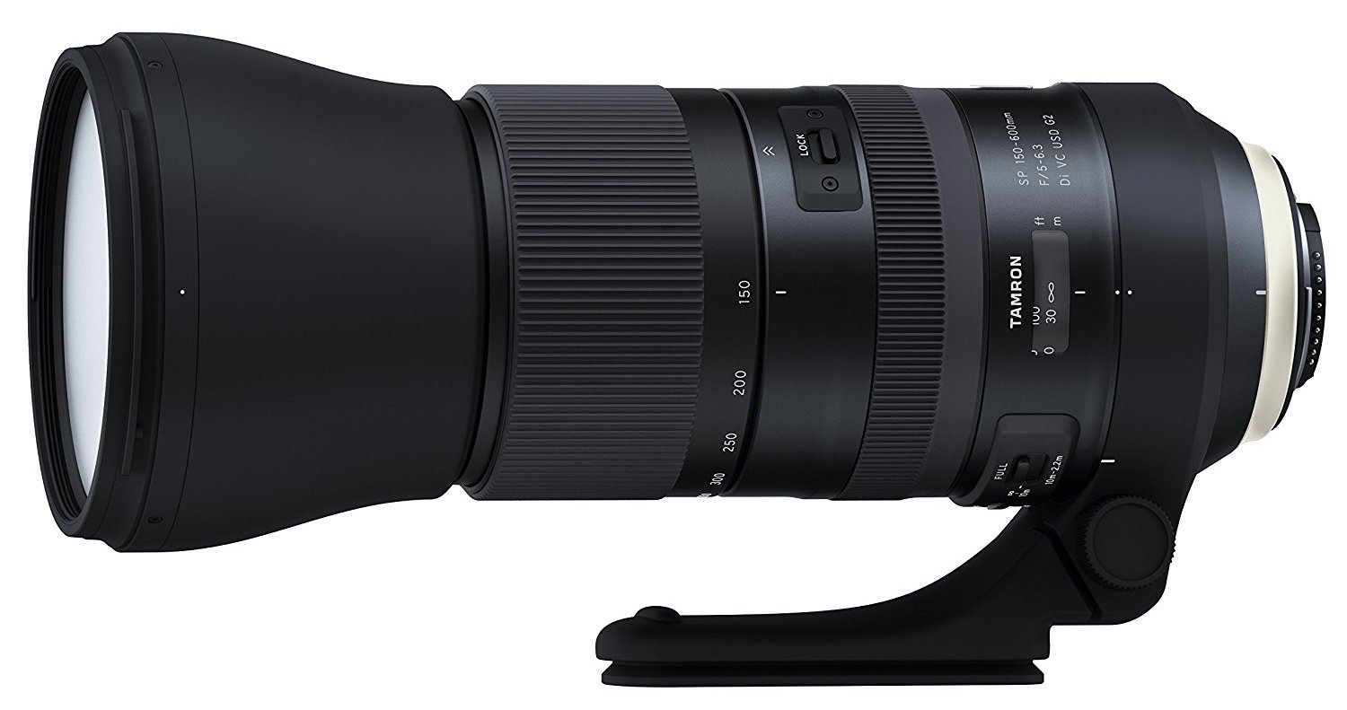 What's the Best Lens for Wildlife Photography? Nature TTL
