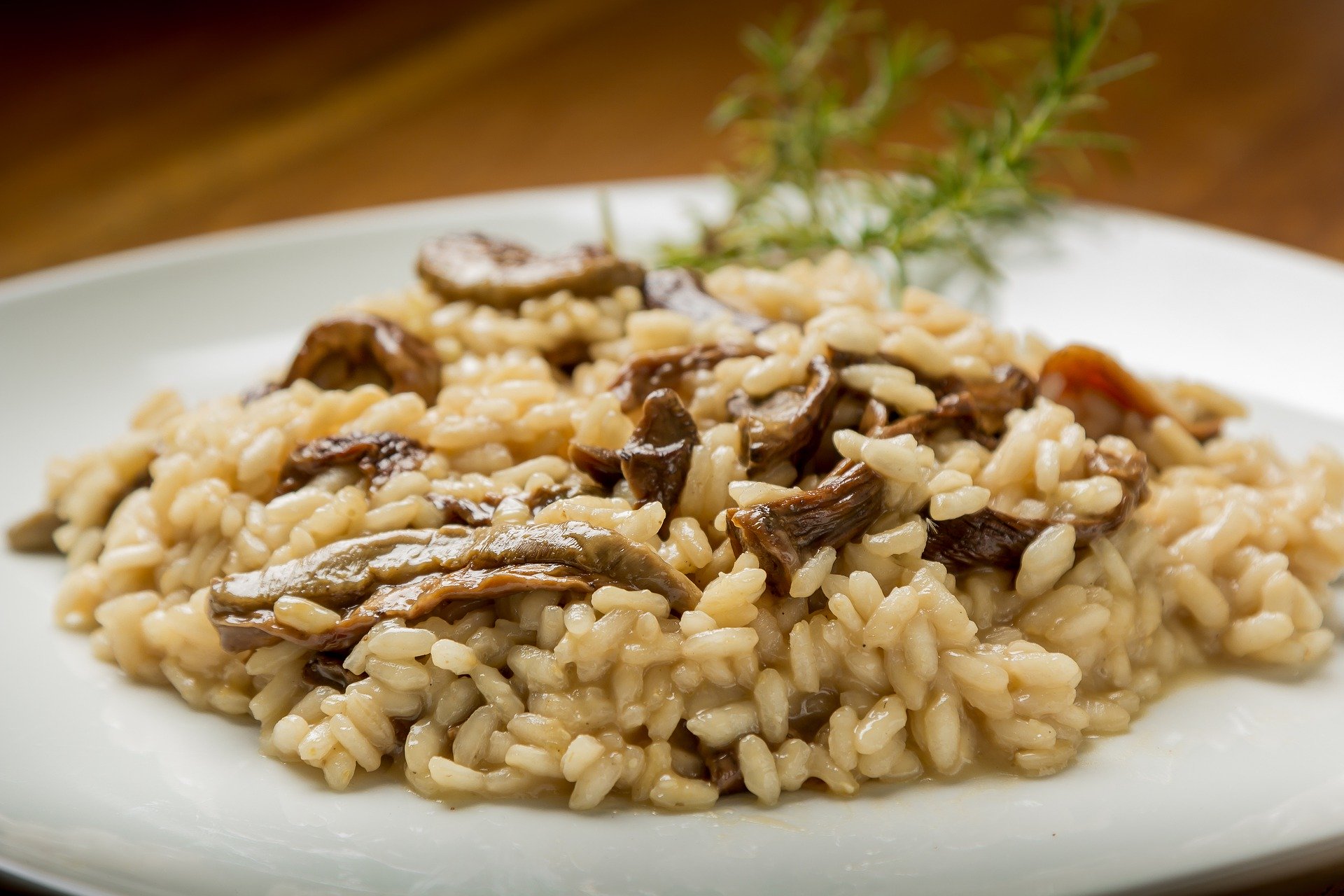Risotto de cogumelo Natuterra