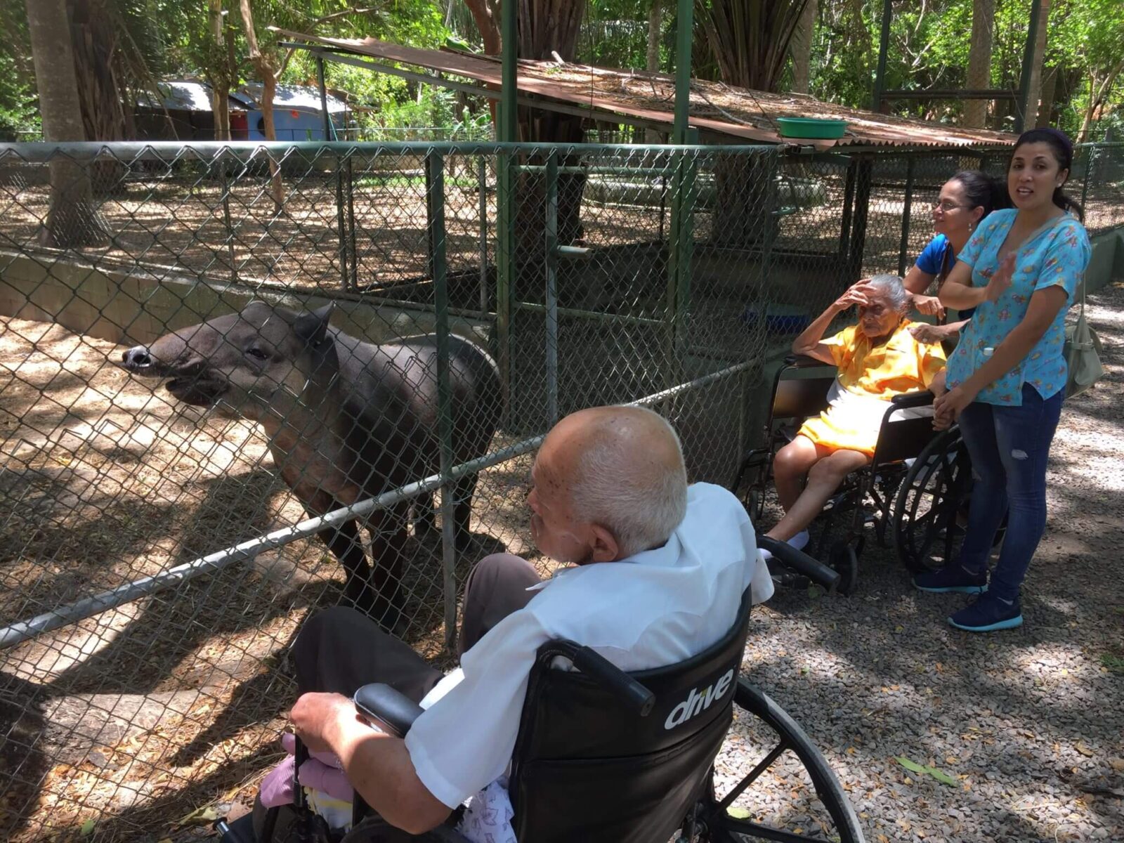 Senior Citizens visit NATUWA NATUWA, Wildlife Sanctuary, Costa Rica