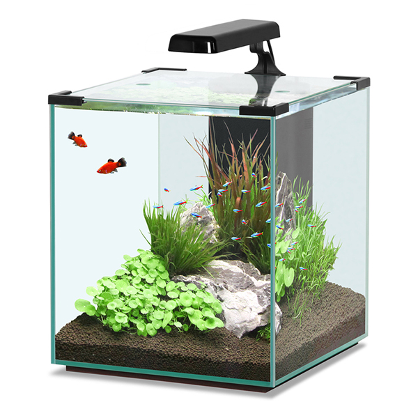 Aquarium nanolife cube 20 Nautic Auto Caraïbes