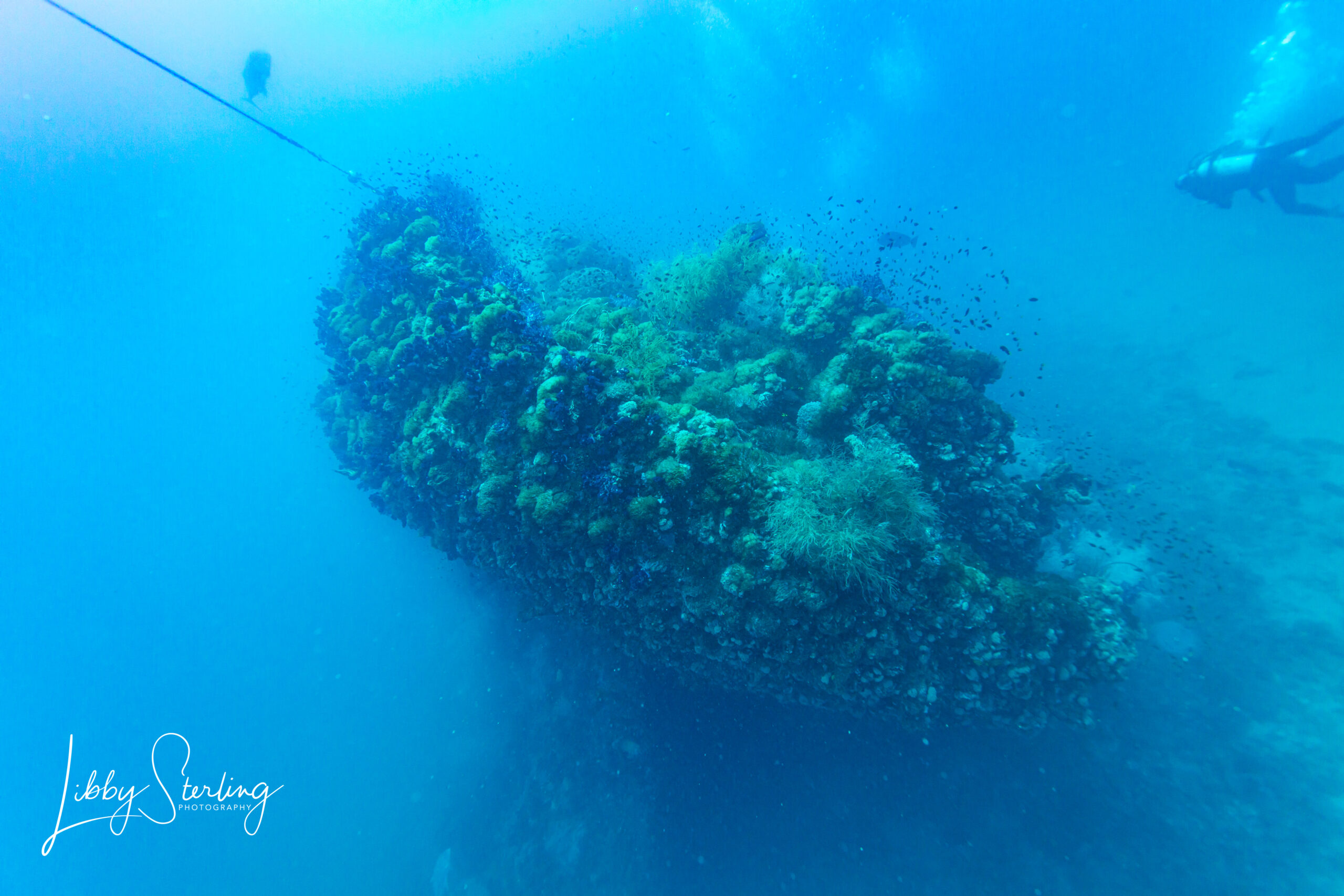 2023 Photo Competition Sponsors Nautilus Scuba Club Cairns