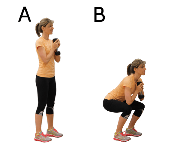 Complete Muscle Toning Exercise Program Nautilus Plus