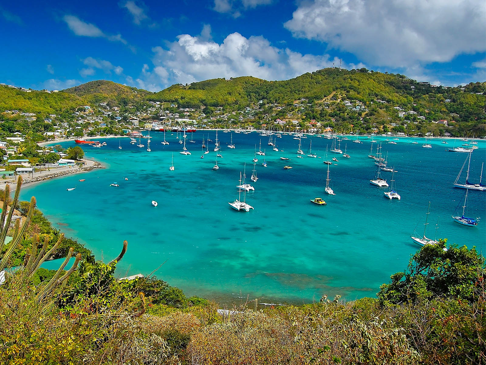 Noleggio Barche Bequia Island Navalia Noleggia un Sogno