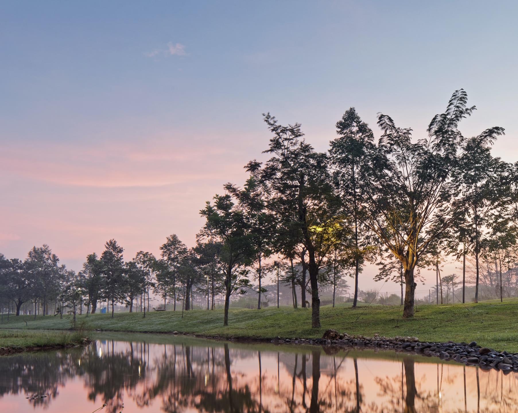 ABOUT US Marigold Apartment