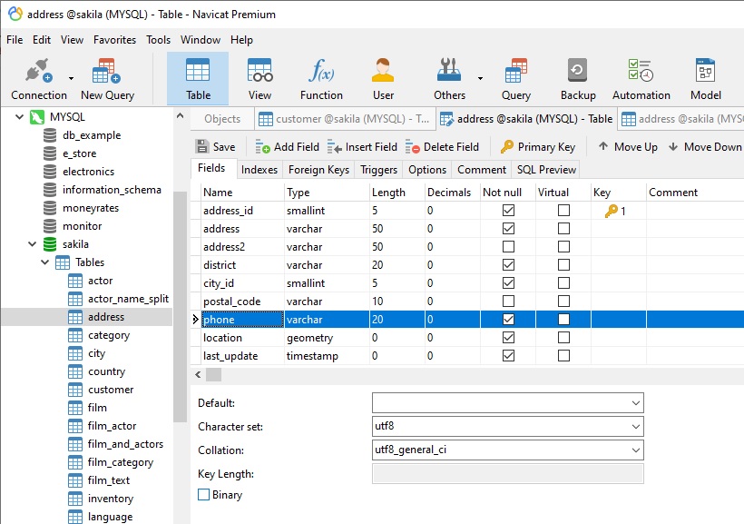 Storing Formatted Fields in a Database