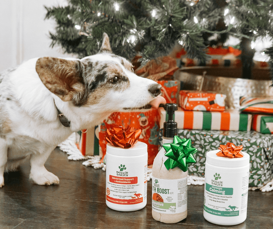 Doggie Dailies The Perfect Holiday Gift for your Dogs Navy
